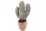 Opritor usa cactus Saloon Vert 25 cm